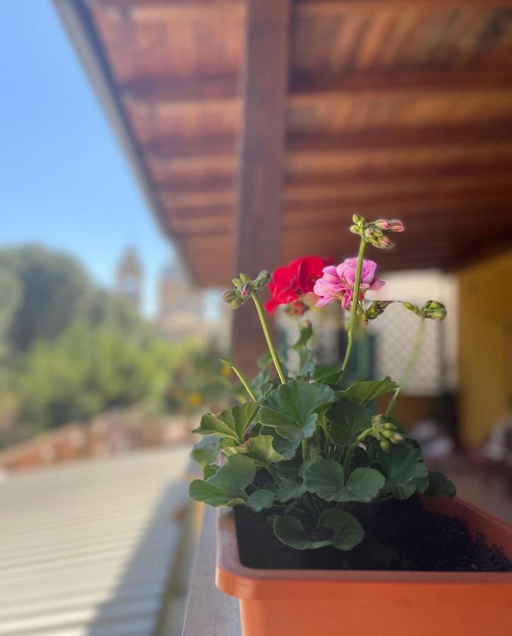 La Terrazza Dei Ciliegi Hotel Santa Maria Degli Angeli  Kültér fotó